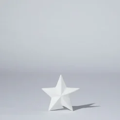 Star Decoration Snow