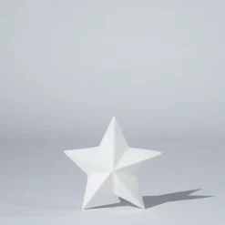 Star Decoration Snow (XL)
